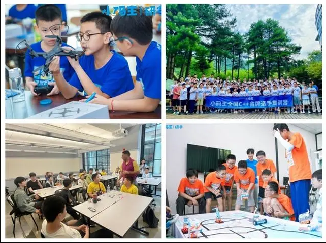 小码王荣获“2024回响·年度综合影响力标杆教育集团” 引领少儿编程教育刚需时代(图4)