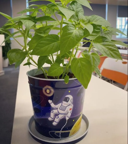 上海单日营|航天探索营,启程星辰之旅(图11) image.png
