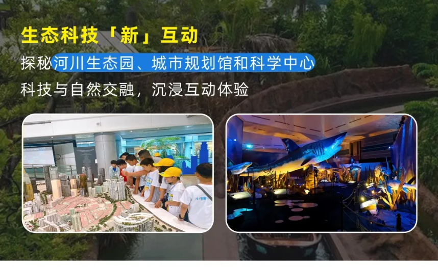 【25暑假|新加坡亲子营】海外亲子游学的首选!(图7) image.png