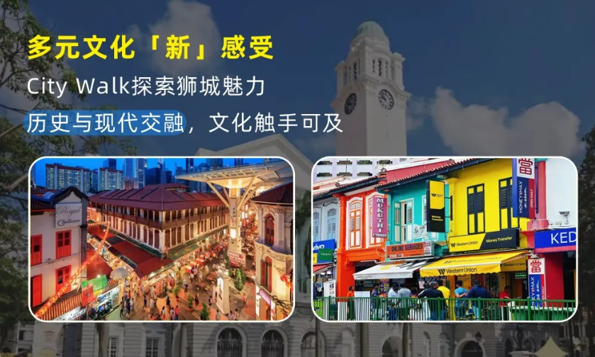 【25暑假|新加坡亲子营】海外亲子游学的首选!(图8) image.png