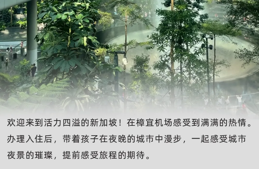 【25暑假|新加坡亲子营】海外亲子游学的首选!(图17) image.png