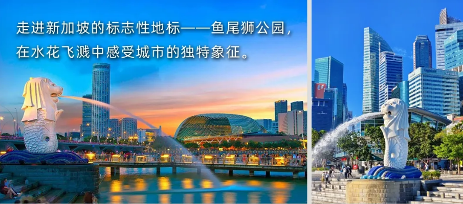 【25暑假|新加坡亲子营】海外亲子游学的首选!(图19) image.png