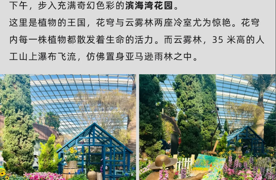 【25暑假|新加坡亲子营】海外亲子游学的首选!(图21) image.png