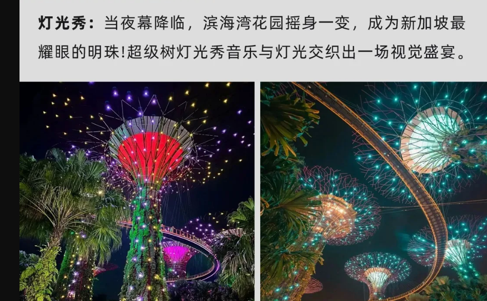 【25暑假|新加坡亲子营】海外亲子游学的首选!(图23) image.png