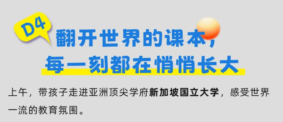 【25暑假|新加坡亲子营】海外亲子游学的首选!(图32) image.png