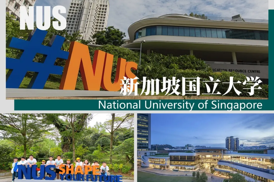 【25暑假|新加坡亲子营】海外亲子游学的首选!(图33) image.png