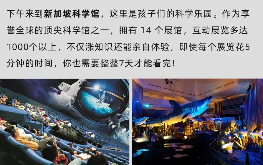 【25暑假|新加坡亲子营】海外亲子游学的首选!(图36) image.png