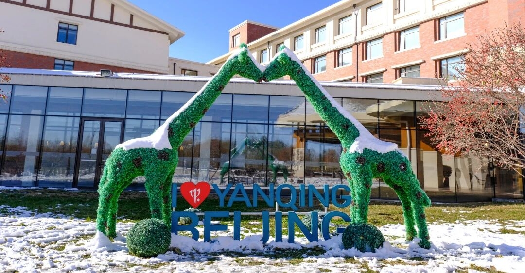 【27寒假】北京延庆·雪板少年滑雪运动全能营，这个冬天在延庆，从
