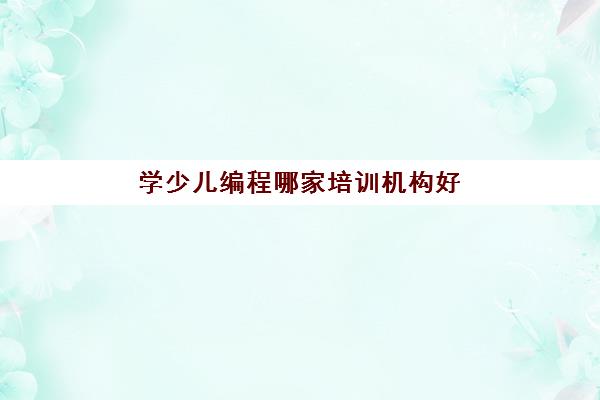 学少儿编程哪家培训机构好 学少儿编程哪家培训机构好