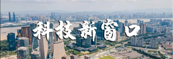 《科技新窗口》栏目走进杭州小码教育科技有限公司，看他们如何以科技助力强国，开启编程未来！