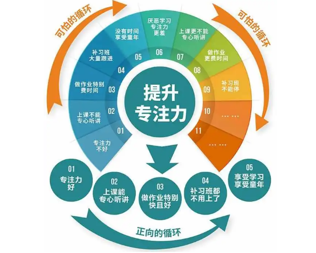 如何培养孩子专注力?怎么锻炼孩子的专注力?(图3) 如何培养孩子专注力?怎么锻炼孩子的专注力?(图3)