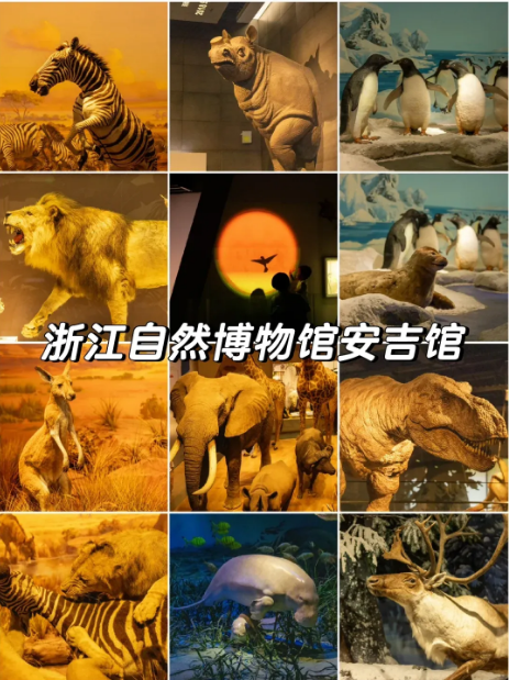 杭州亲子游周末去哪玩好？杭州本地超全带娃攻略(图6)