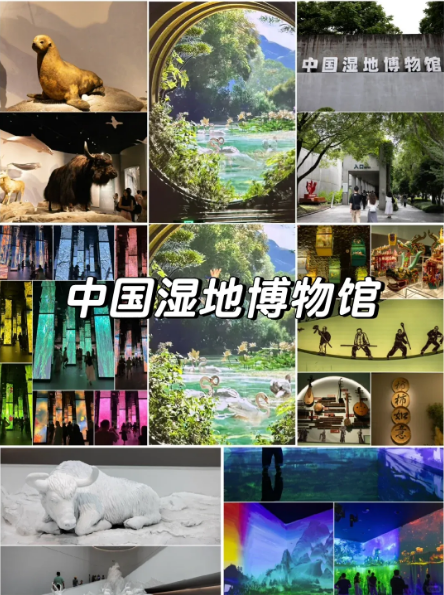杭州亲子游周末去哪玩好？杭州本地超全带娃攻略(图1)
