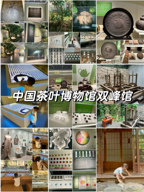 杭州亲子游周末去哪玩好？杭州本地超全带娃攻略(图17)